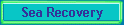 Sea Recovery
